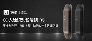 【有品众筹】德施曼 小嘀R5 3D人脸识别智能锁