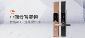 德施曼小嘀T86云智能锁