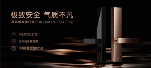 ORVIBO 欧瑞博 T1C 智能门锁荣耀版(颜色随机)