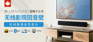 BLUESOUND PULSE SOUNDBAR 2i(蓝嗓子 XL号) 智能杜比无线回音壁系统