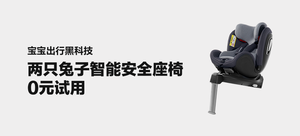 两只兔子「未知」儿童安全座椅